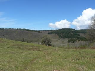 Image Sale farm saissac carcassonne 6