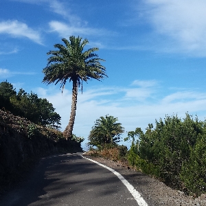 Charming little house La Gomera (Canary Islands)></noscript>
                                                        <span class=