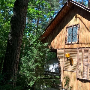 La Maison dans les bois, securise, a 25 minute du centre- ville de Varsovie, POLOGNE></noscript>
                                                        <span class=