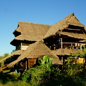 I sell beautiful house in the heart of the Peruvian jungle></noscript>
                                                        <span class=