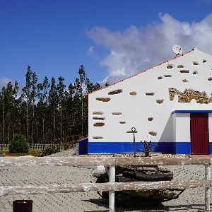 Image DOMAINE ET VILLA AU COEUR DE L'ALENTEJO  0