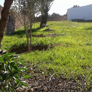 Constructible land near Essaouira></noscript>
                                                        <span class=