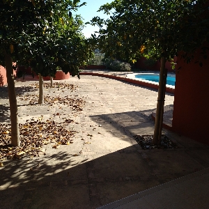 House with workshop of 520 m2></noscript>
                                                        <span class=