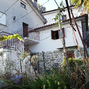 Image Maison en pierre au calme du vallée  0