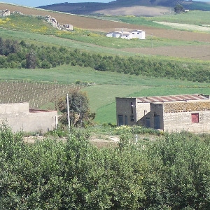 Farmhouse Land in Sicily></noscript>
                                                        <span class=