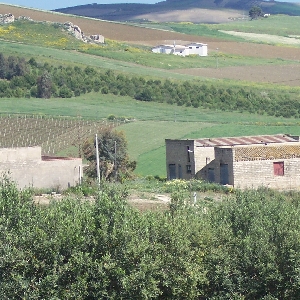 Bauernhaus Grundstück in Sizilien></noscript>
                                                        <span class=