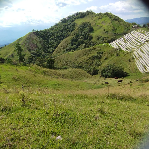 Image  Terrain à vendre en Colombie, perché á une altitude de 2000 m, d'une surface remarquable de 31 800 m² (3,18 hectares dont un ha pratiquement plat), soit à un tarif de 2,77 euros par m². Ce bien est situé à Neira, dans le département de Caldas, au cœur du Paysage Culturel du Café Colombien (PCCC), reconnu comme patrimoine mondial par l’UNESCO. (Vue panoramique, climat tropical d'altitude , zone sécuritaire, eaux de source, terrain constructible). 0