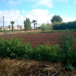 Sale land bouknadel salé></noscript>
                                                        <span class=