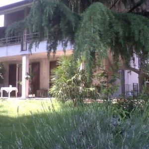 Sale villa seveso milano nord></noscript>
                                                        <span class=