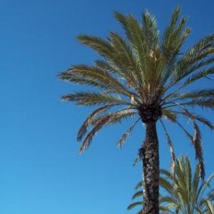 Image Sale apartment cannes  0