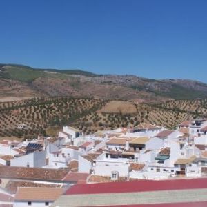 Image Sale house el burgo malaga 0