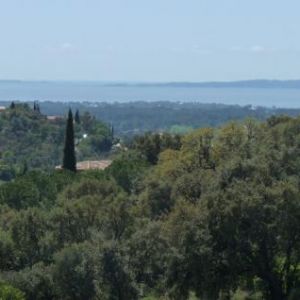 Image Sale house la londe les maures  0