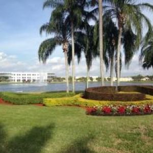 Affitto appartamento pembroke pines miami></noscript>
                                                        <span class=