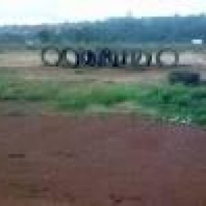 Image Sale land douala  0