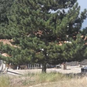 Image Sale house roussas valence 0