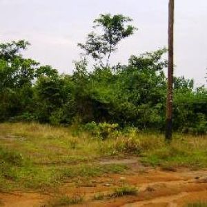 Image Sale land dla  0