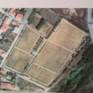 Image Sale land bassacutena sassari 0