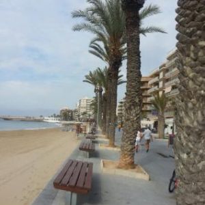 Image Rent apartment torrevieja alicante 0