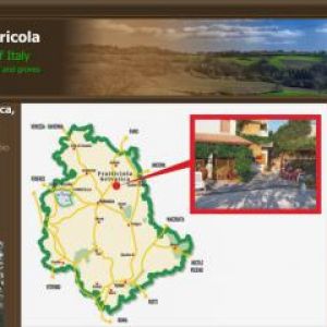 Affitto fattoria fratticiola selvatica perugia></noscript>
                                                        <span class=