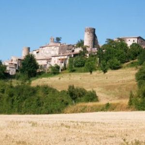 Image Sale house saint vincent de barrès  0