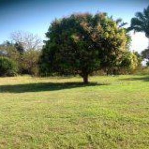 Image Sale land guanacaste  0