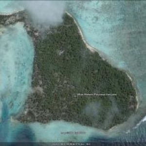 Image Sale land iles sous le vent ( huahine) polynésie française 0