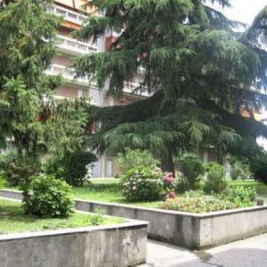 Image Sale apartment milano milano sud 0