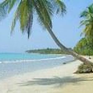 Sale apartment las terrenas ></noscript>
                                                        <span class=