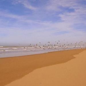 Vente terrain moulay bouzerktoune essaouira></noscript>
                                                        <span class=