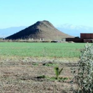 Vente terrain ras ain marrakech></noscript>
                                                        <span class=