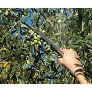 Vente ferme el attaouia kelaat sraghna></noscript>
                                                        <span class=