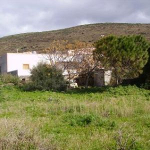 Sale villa pantelleria trapani></noscript>
                                                        <span class=