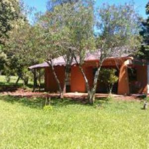 Rent house san ignacio ></noscript>
                                                        <span class=