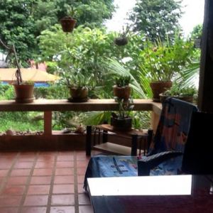 Image Sale house pucket  0