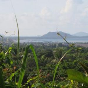 Image Sale land kep  0