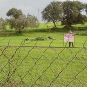 Image Sale land kranidi  0