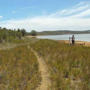 Image Sale land mantasoa   0