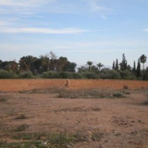 Sale land palmeraie marrakech></noscript>
                                                        <span class=