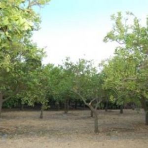 Sale land noto siracusa></noscript>
                                                        <span class=