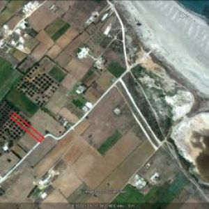 Image Sale land dar allouche kelibia 0