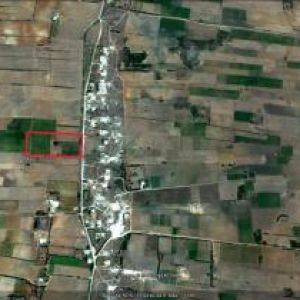 Image Sale land dar allouche kelibia 0