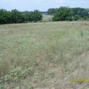 Image Sale land dobrich  0