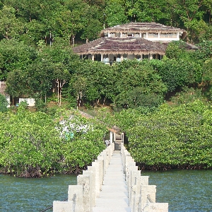 Cadre idyllique de l'Île de la propriété à Palawan></noscript>
                                                        <span class=