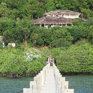 La idílica Isla de la propiedad en Palawan></noscript>
                                                        <span class=