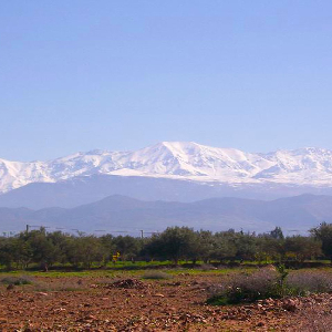 Image 3 hectare marrakech route ourika sur la route principale en face aquafun albatros marrakech 0